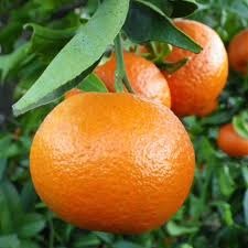 Mandarinas para deportistas
