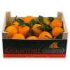 Apfelsinen aus Valencia von CitrusGourmet Tafelqualität 30 kg