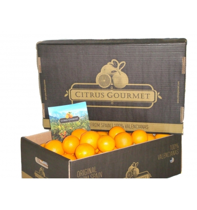 Apfelsinen aus Valencia von CitrusGourmet Tafelqualität 15 kg