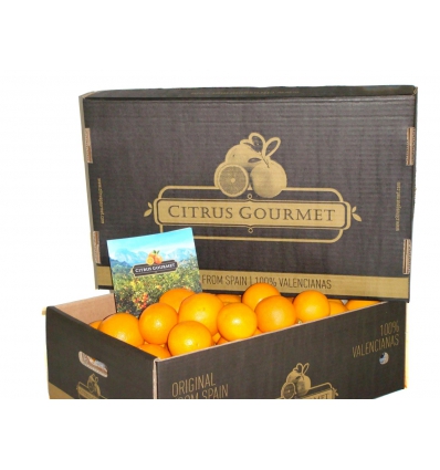 Saftapfelsinen aus Valencia von CitrusGourmet 15 kg