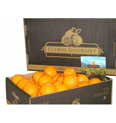 Apfelsinen aus Valencia von CitrusGourmet. Tafelapfelsinen Premium 15 kg