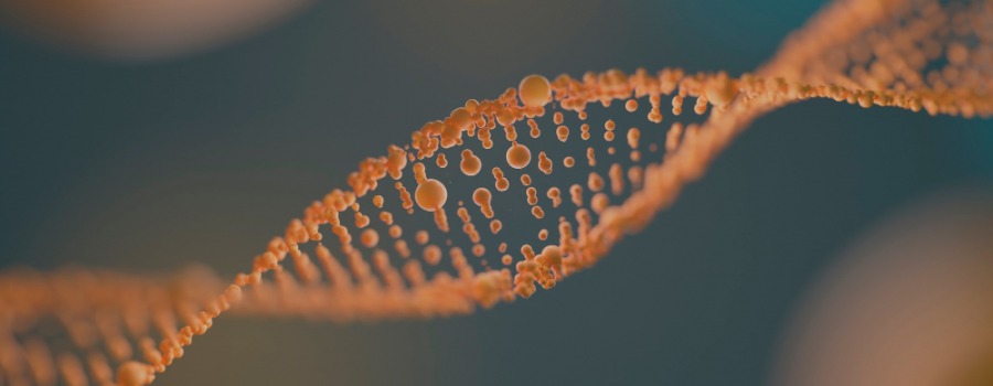 Incrementar la ingesta de naranja o mandarina puede influir en tu genoma: lo que dice la ciencia