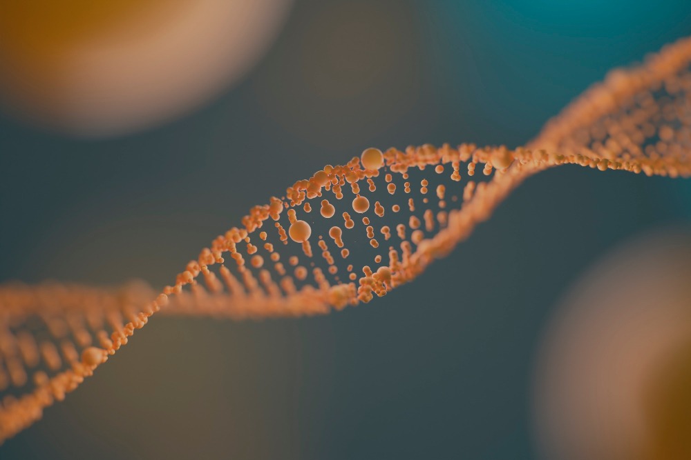 Incrementar la ingesta de naranja o mandarina puede influir en tu genoma: lo que dice la ciencia