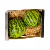 Caja de Sandía Valenciana – 10 kg