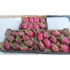 Caja de Patatas Valencianas 8 Kg