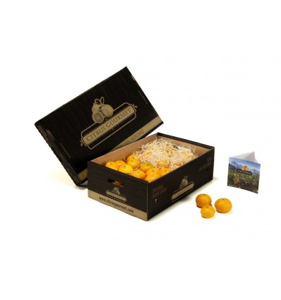 Valencian CitrusGourmet Mandarin Oranges 15 Kilos