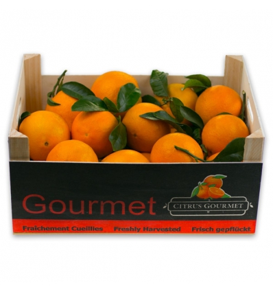 Caja de Naranjas Valencianas de Mesa 8 Kgs