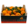 Caja de Naranjas Valencianas de Mesa 8 Kgs