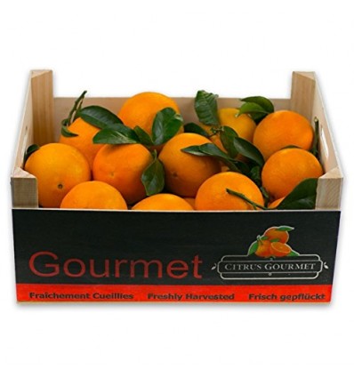 Naranjas Gourmet de Valencia Mesa 20 Kg por 23,99 €