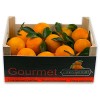 Naranjas Gourmet de Valencia Mesa 20 Kg por 23,99 €