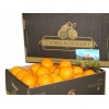 Caja de Naranjas Valencianas de Mesa Premium 20 Kg