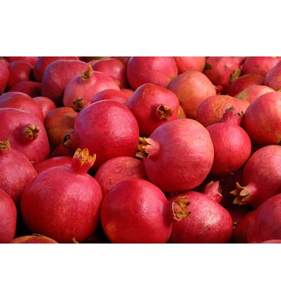 Caja de Granadas 20 Kg