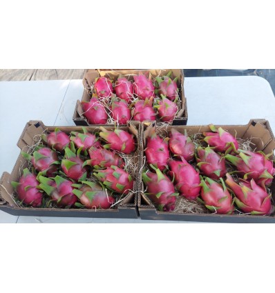Pulpa de la pitaya