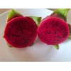 Pulpa de la pitaya