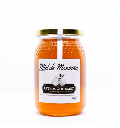 TARRO MIEL DE MONTAÑA 100GR
