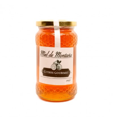 TARRO MIEL DE MONTAÑA 100GR