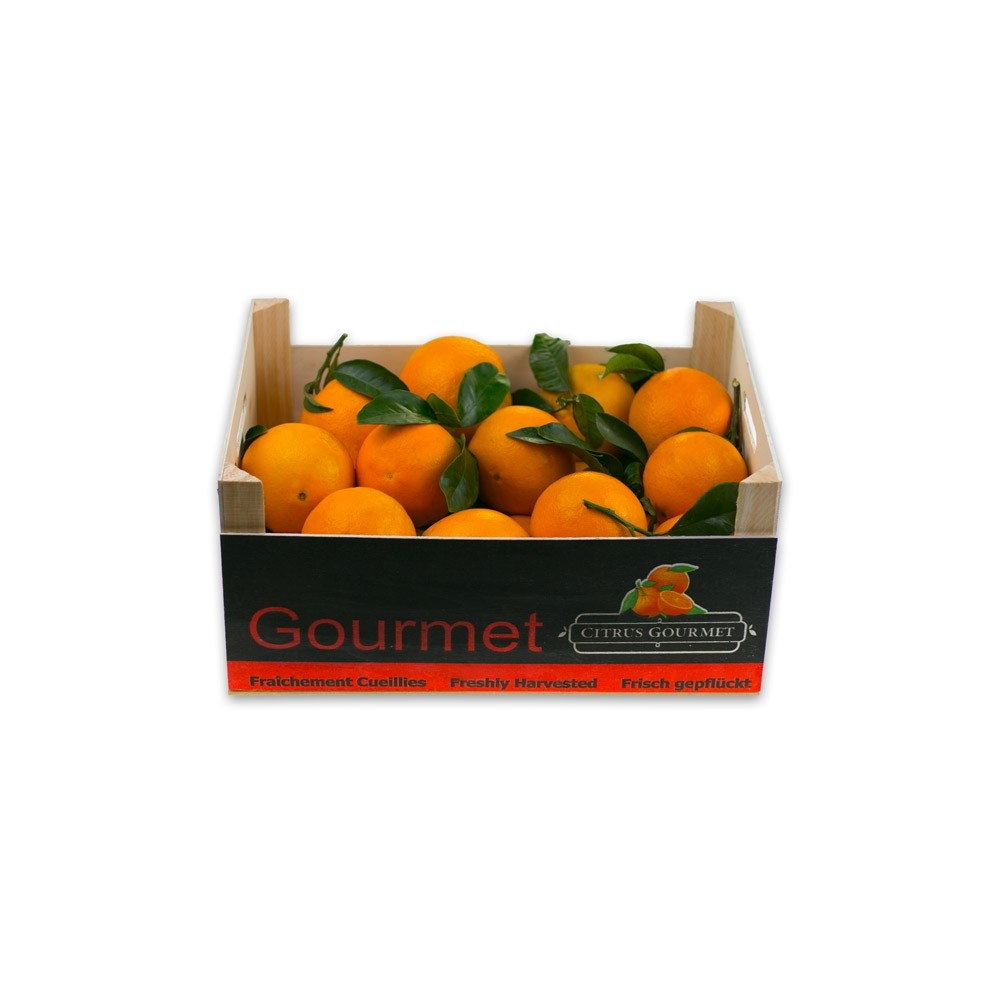 naranjas-valencianas-citrusgourmet-zumo-8-kgs