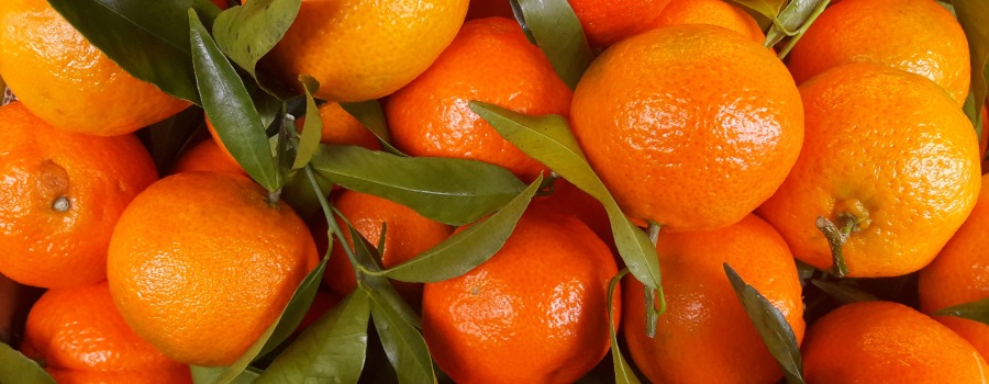 Vuelven las mandarinas