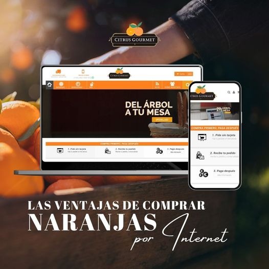 Naranjas Valencianas: El sabor y calidad de la tierra valenciana en tu mesa