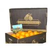 Oranges de Valence Citrus Gourmet Table Premium 15 kilos